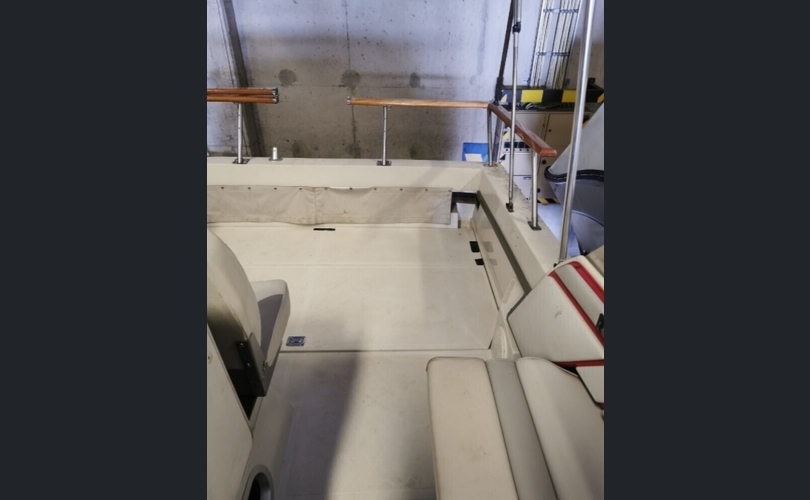 Regal 255 XL Ambassador-kuva-11